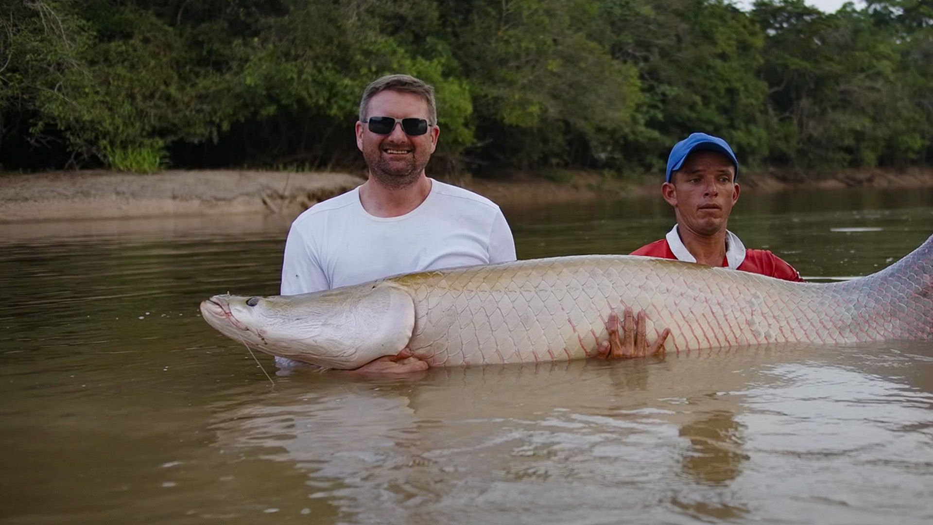 Arapaima - King of the Jungle 2020