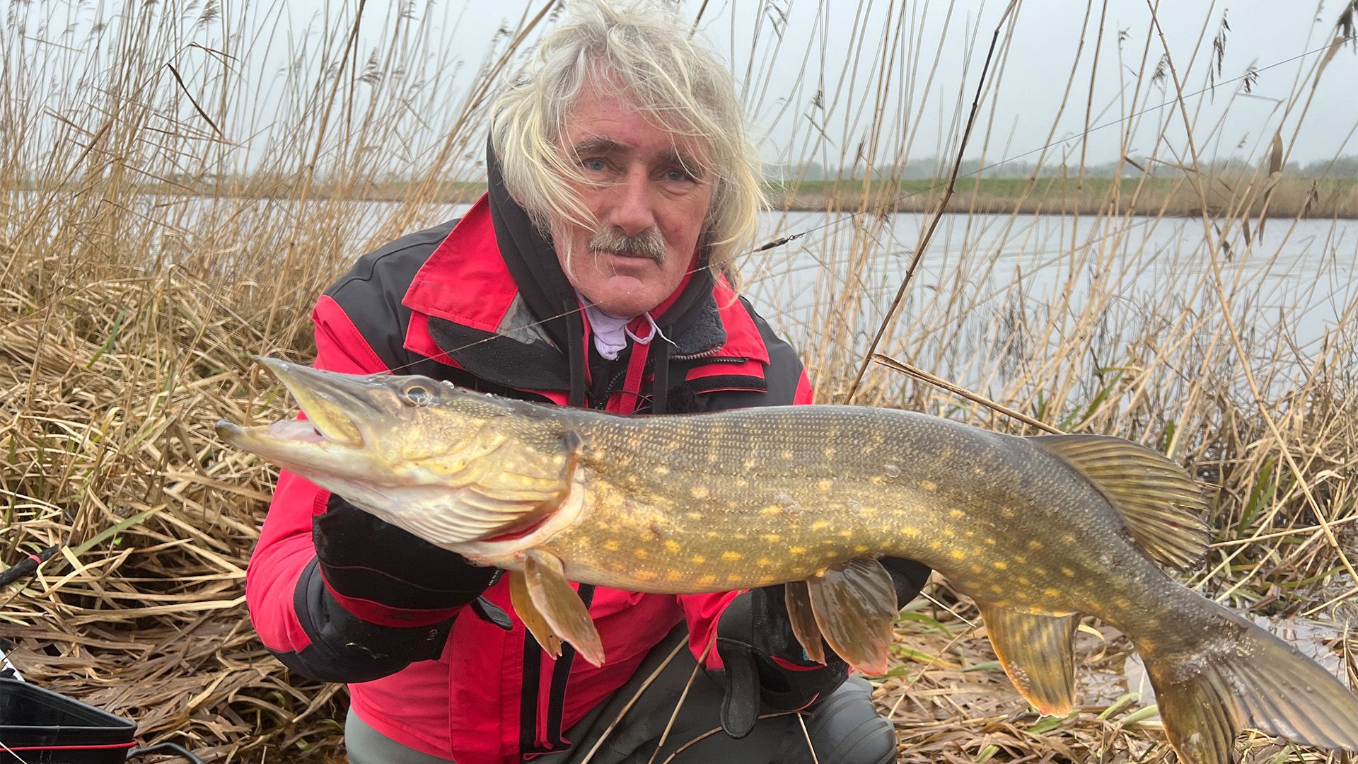 Hechte gedippt mit Köderfisch