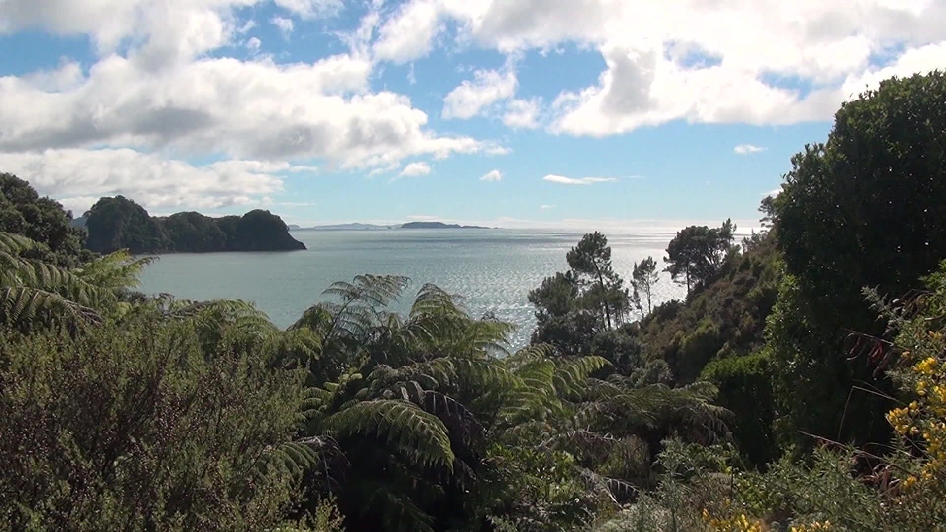 Neuseeland - Nature