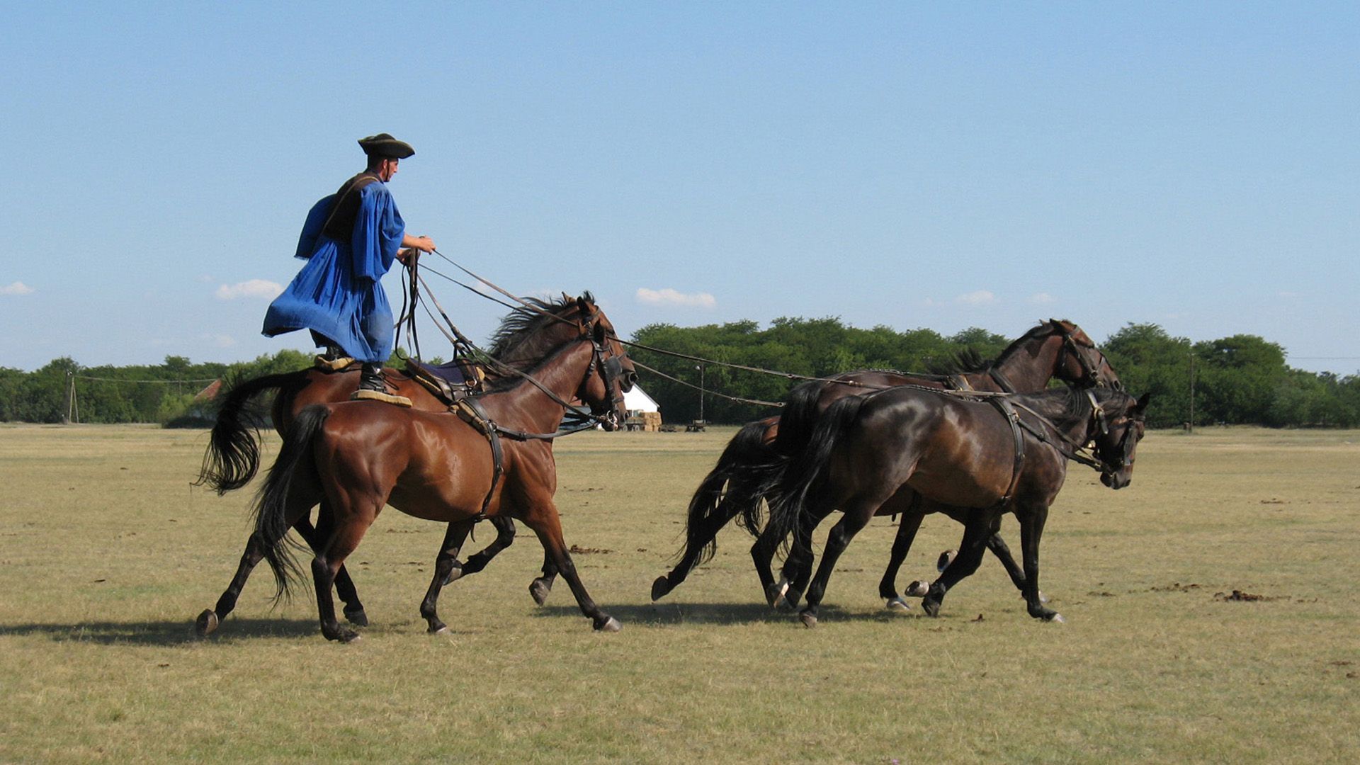 Attila und die Pferde der Puszta