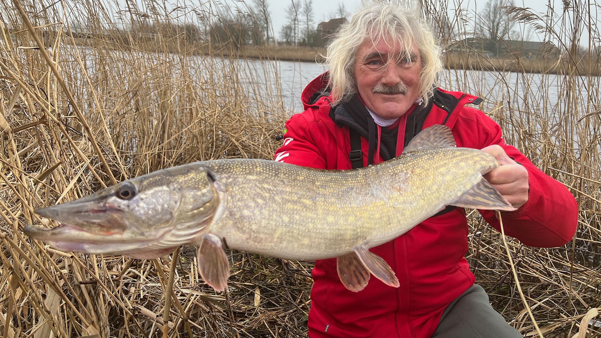 Hechte auf Köderfisch am Fluss