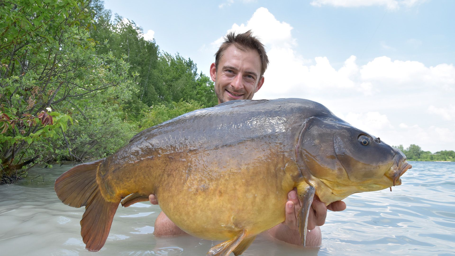 Karpfenangeln im Spätsommer