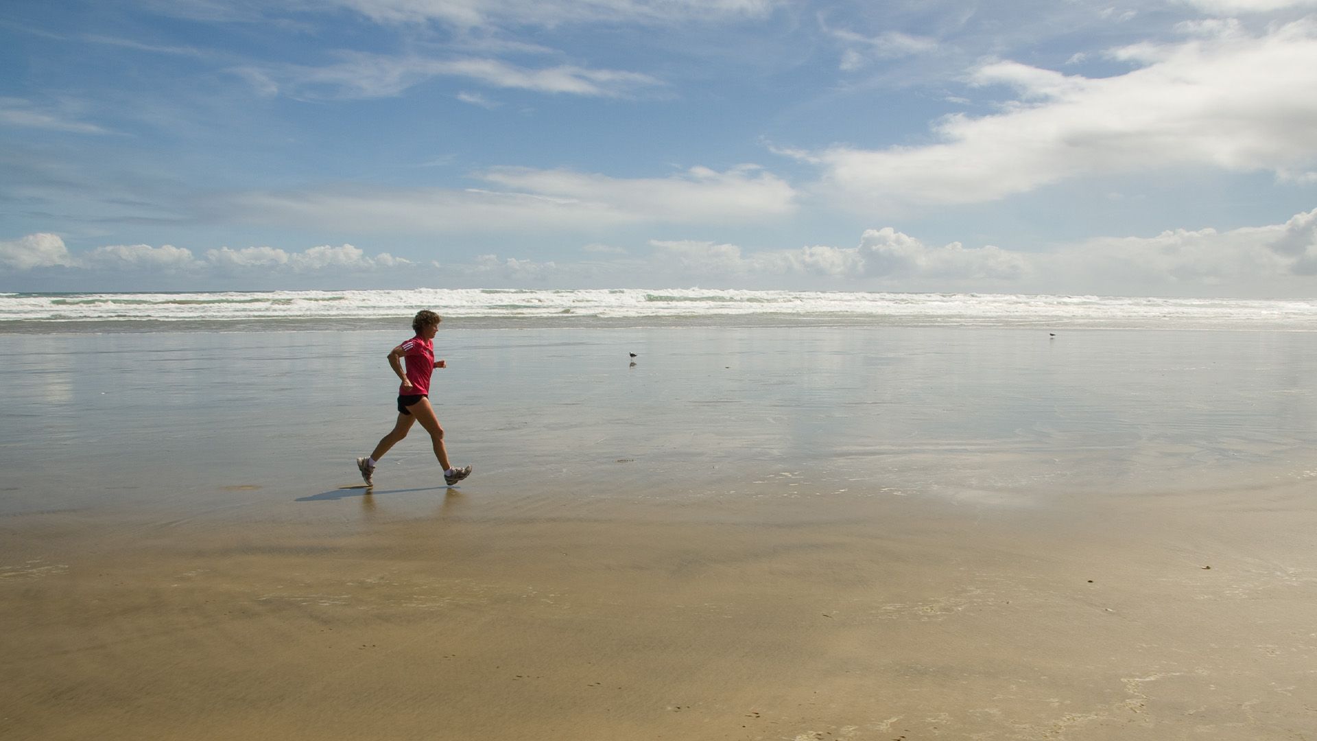 Neuseelands Lauf der Extreme