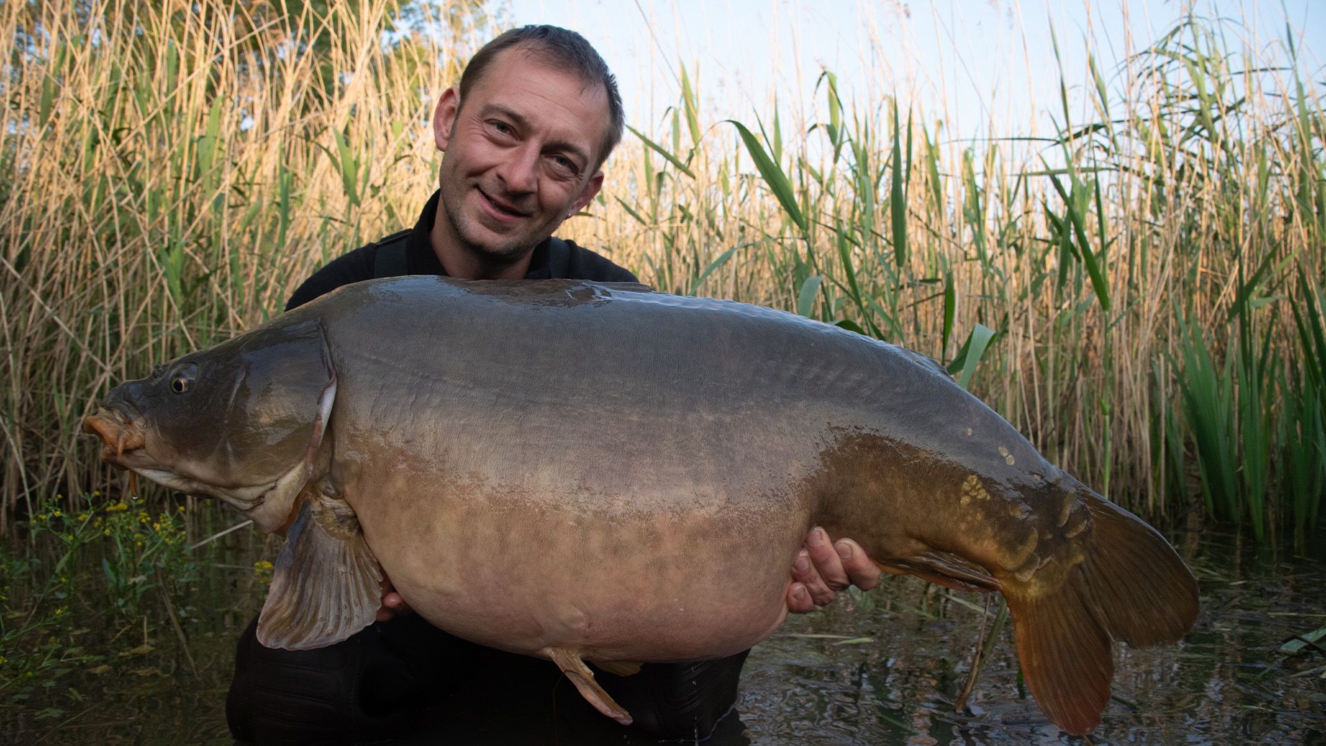 Karpfengene