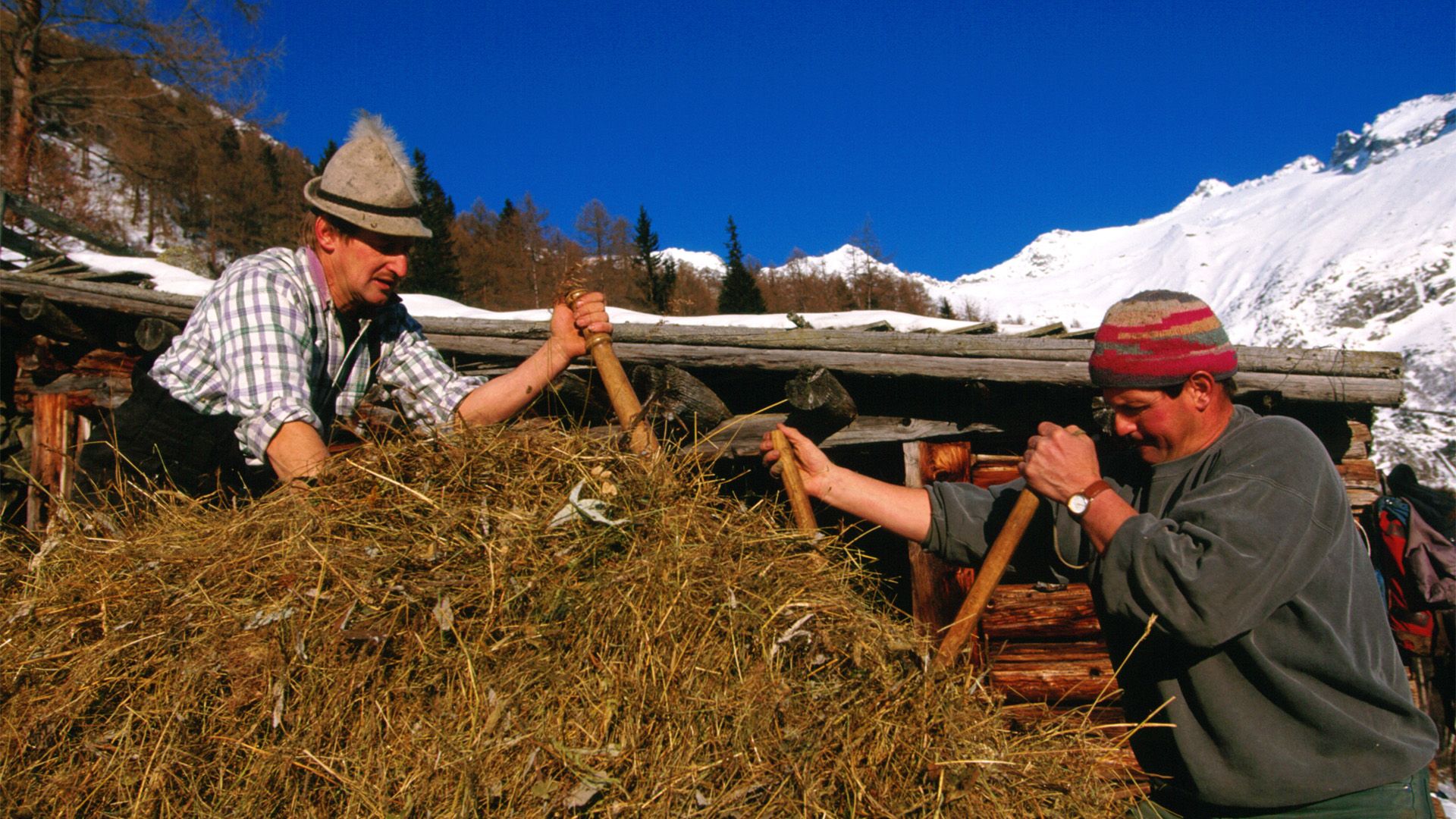 Lebendiges Südtirol - Kultur, Brauchtum, Lebensweise