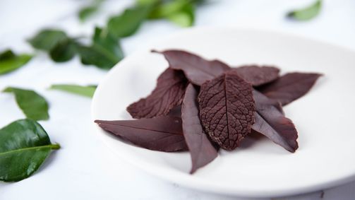 The Chocolate Queen The Chocolate Queen - Staffel 1 Folge 3: Dekorieren mit Schokolade