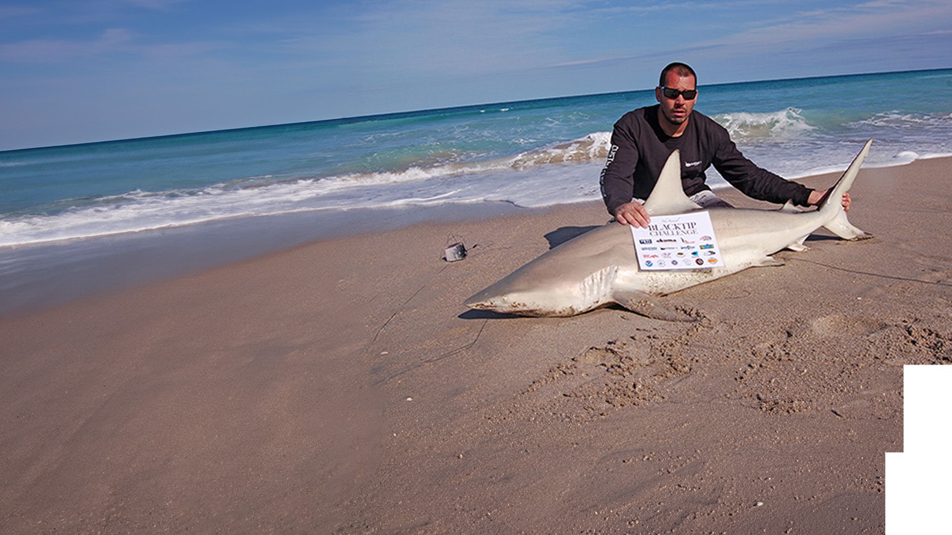 Blacktip Challenge - Riesige Haie an Floridas Ostküste