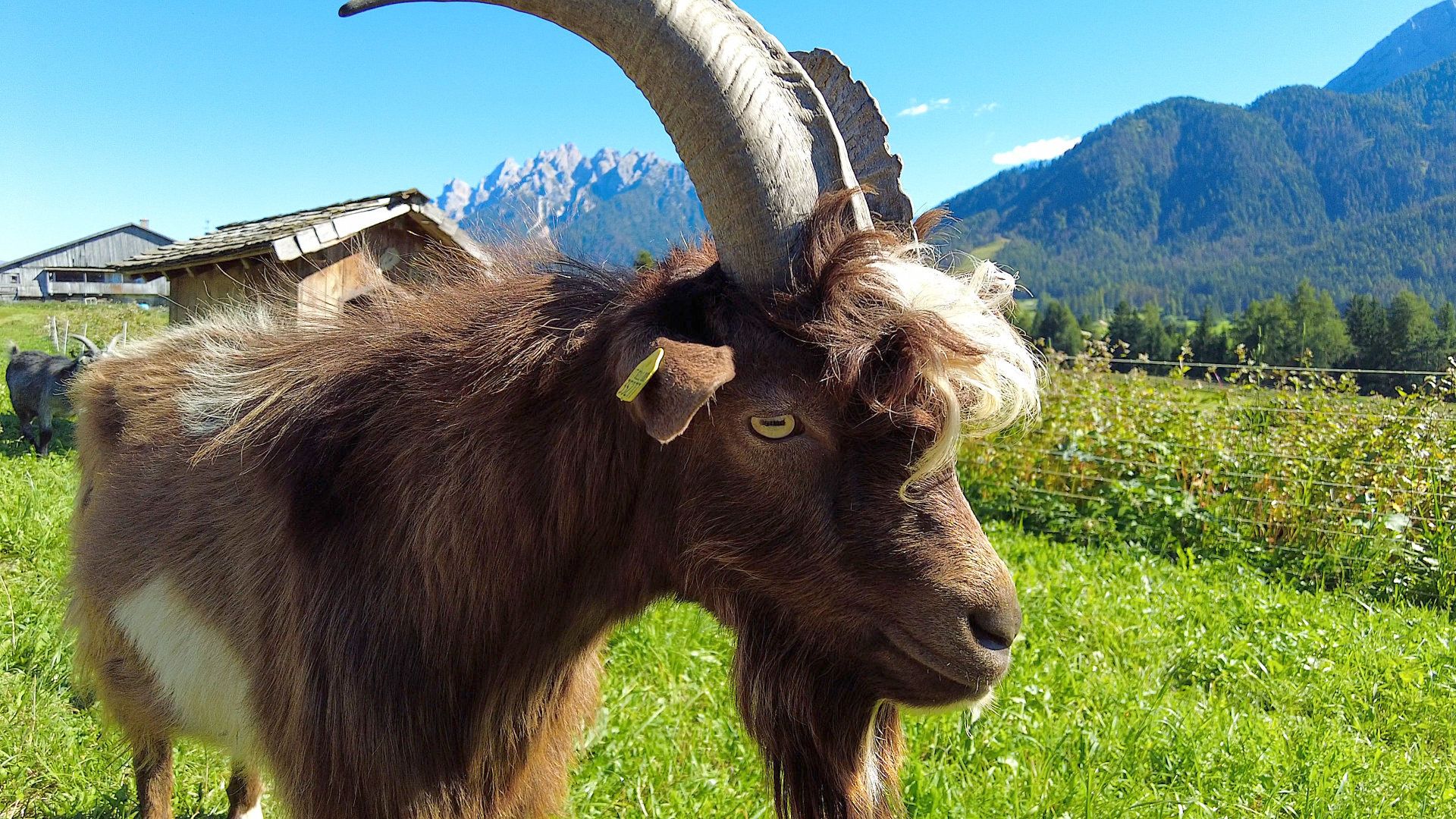 Der Tauferer Ahrntal Radweg