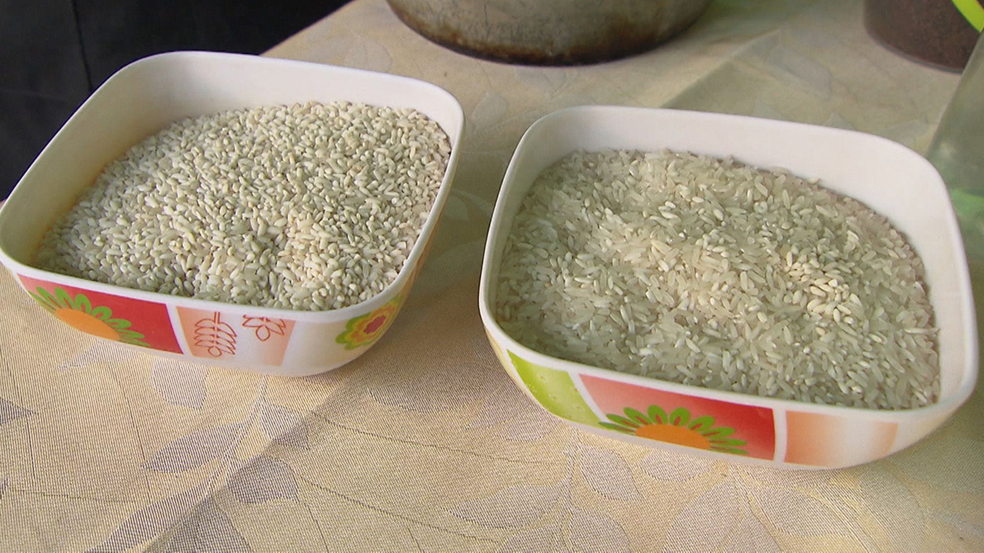 Reis ¿ ein Korn ernährt die Welt