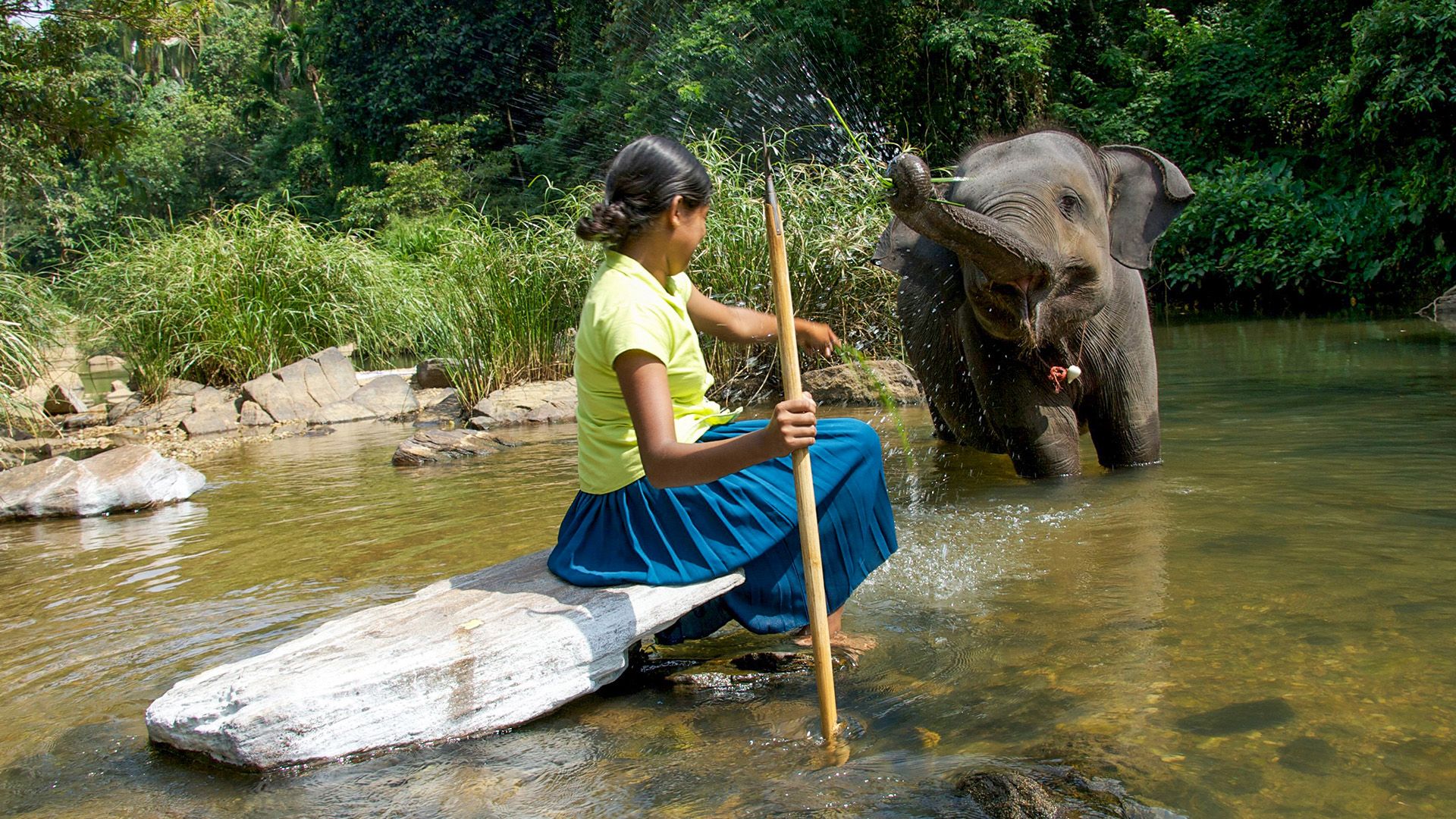 Chandani - Die Tochter des Elefantenflüsterers