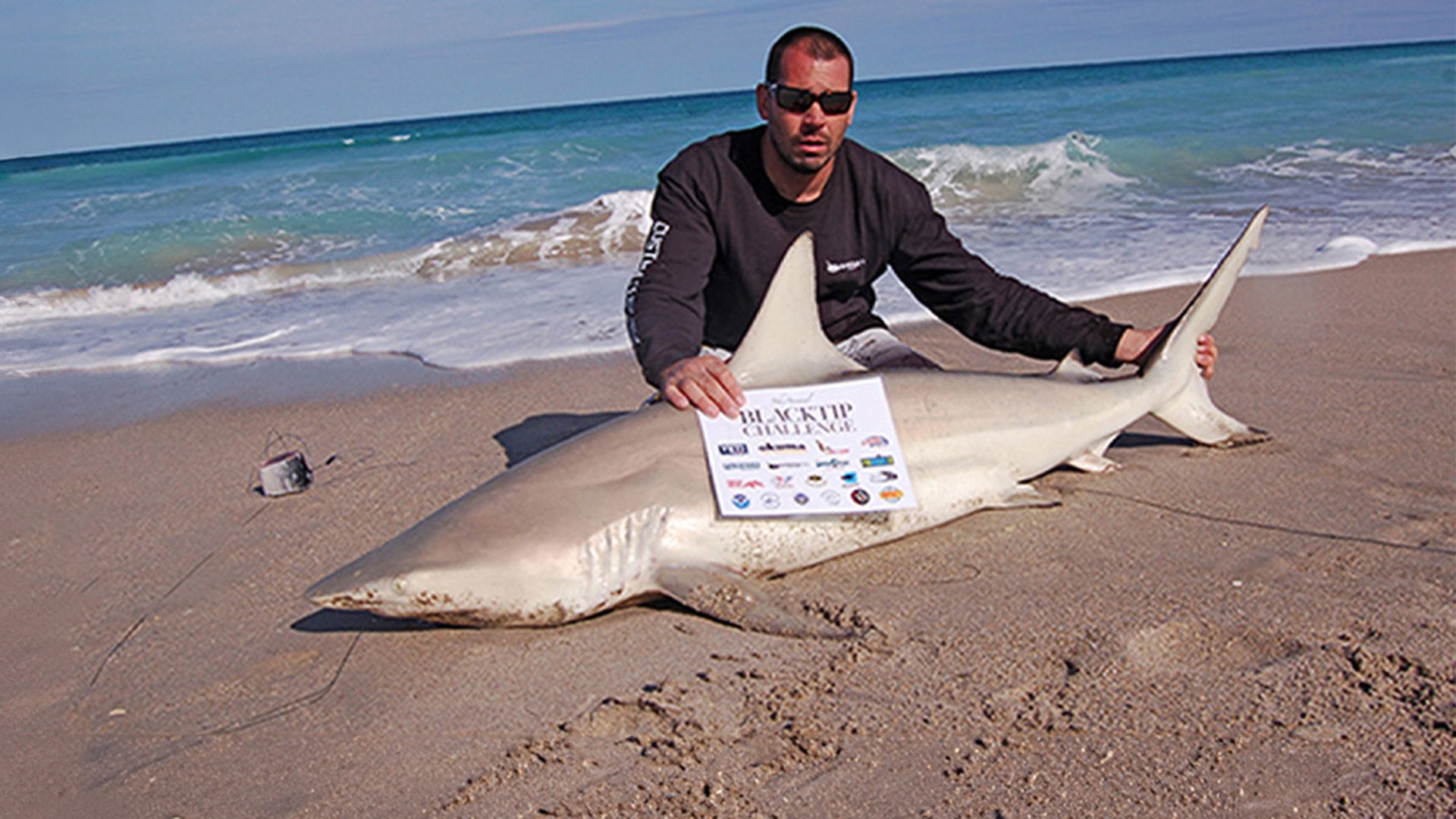 Blacktip Challenge - Riesige Haie an Floridas Ostküste