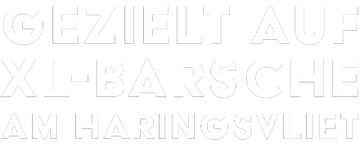 Gezielt auf XL-Barsche am Haringsvliet