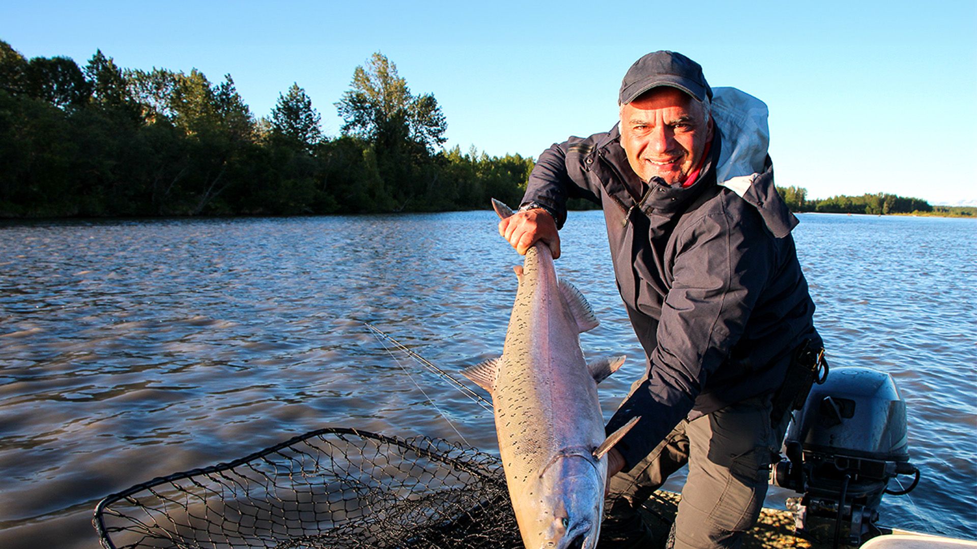 King Salmon am Lake Creek in Alaska