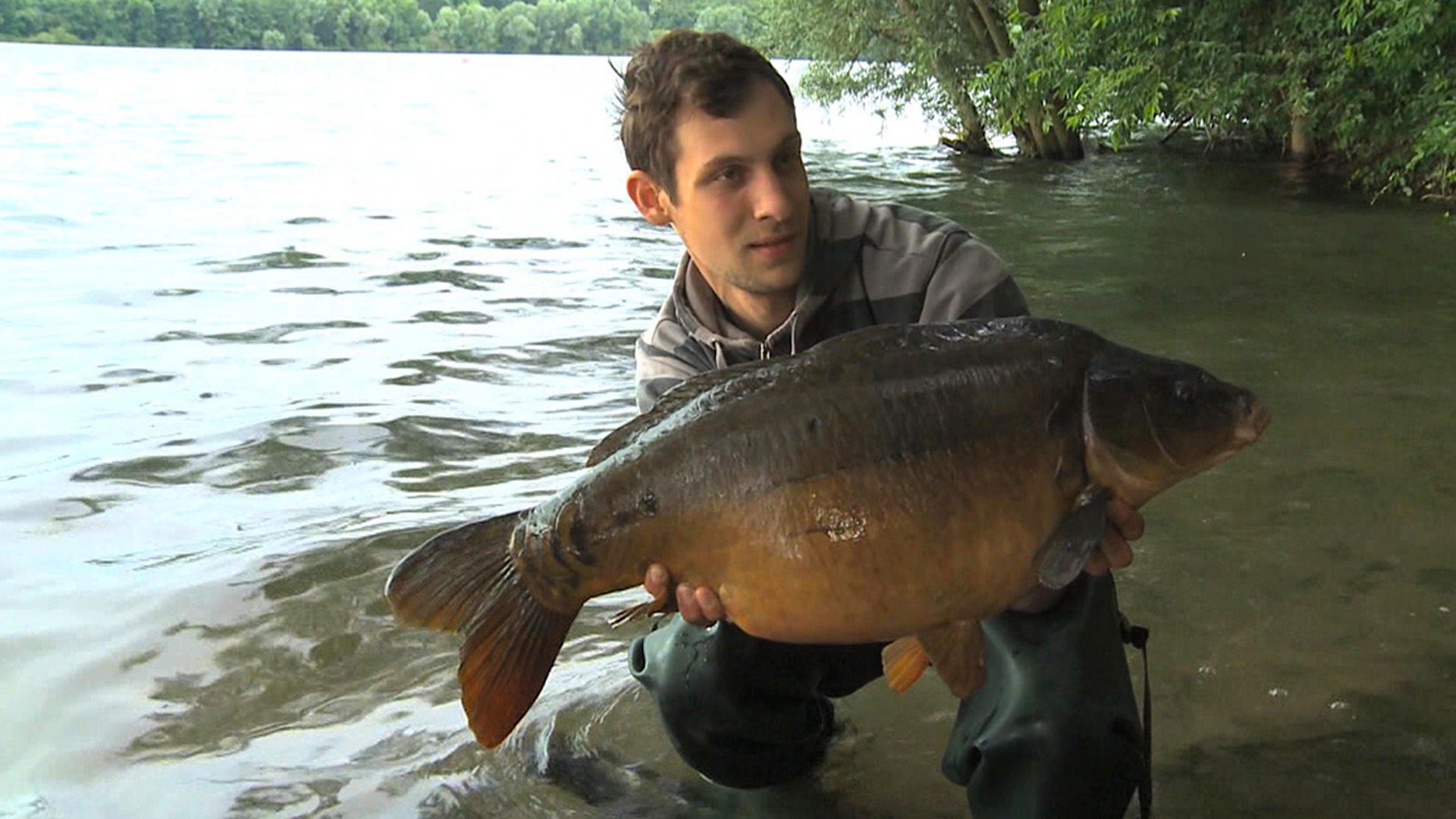 Karpfenangeln im Baggersee