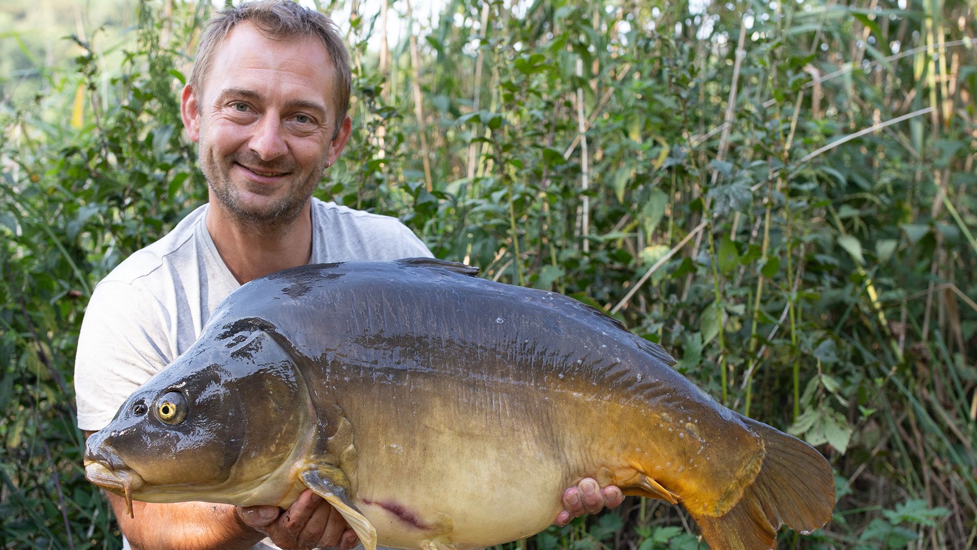 Angelschein in Ungarn