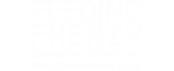 Feeding Frenzy - Raubende Barsche an der Wasseroberfläche