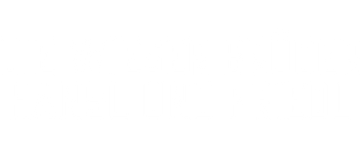 Die Wieser Brüder - Hansl und Friedl