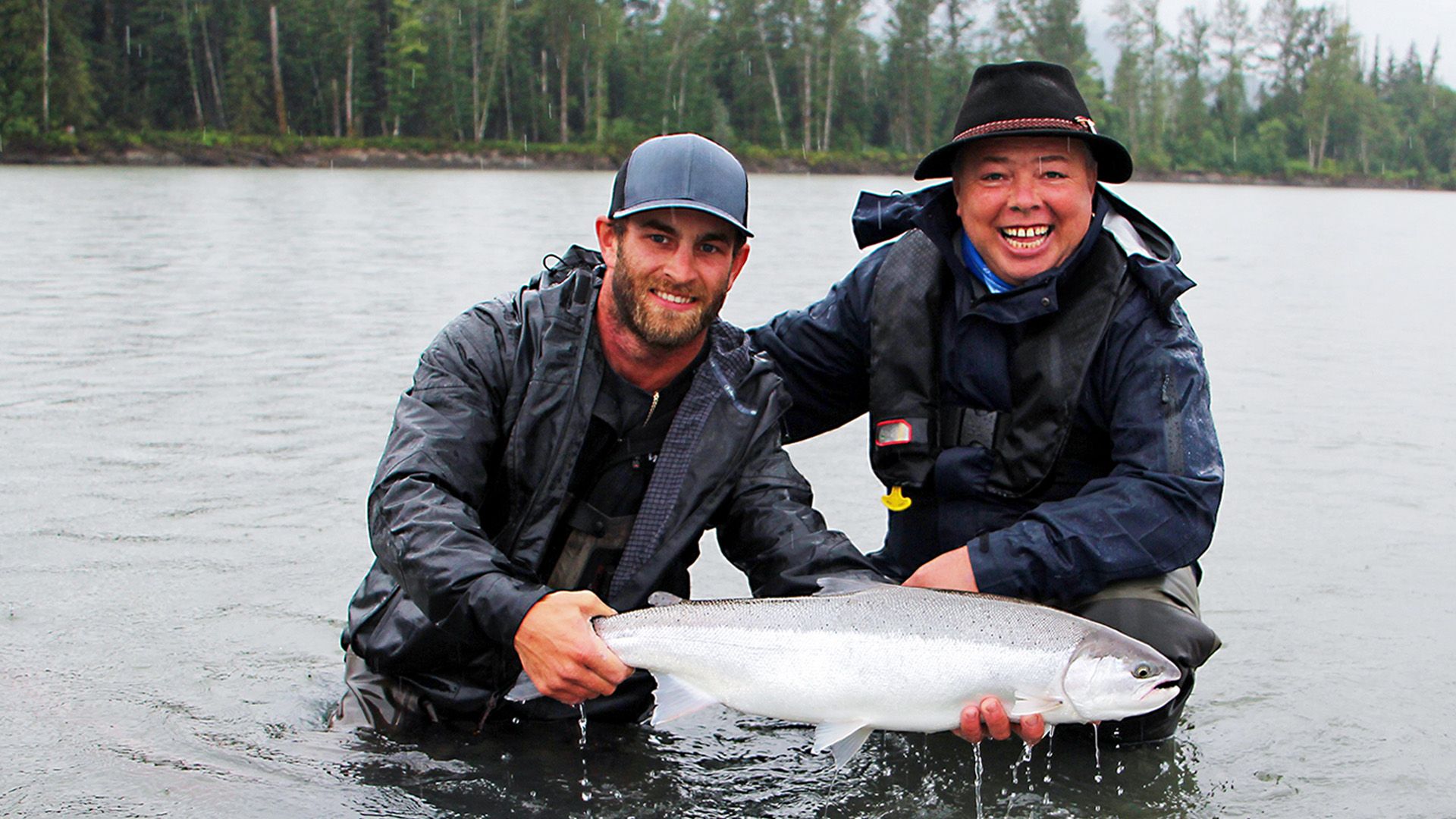 Kampfstarke Steelheads und Lachse am Skeena River in Kanada