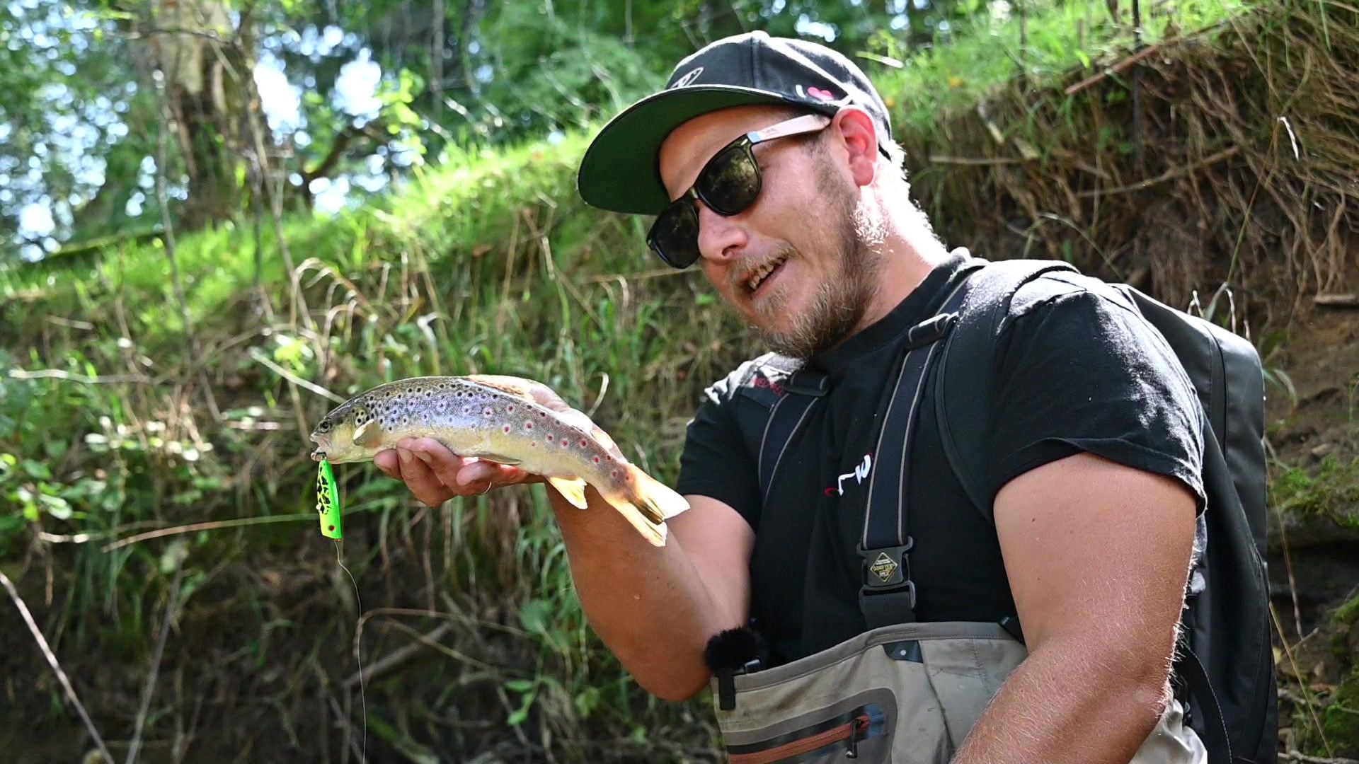 Fliegende Bachforellen im September - 12 Monate Topwater Challenge