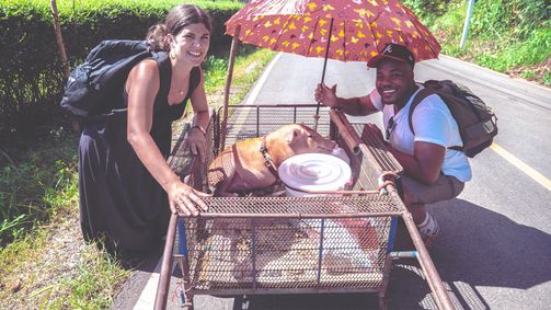 Travel with a Goat Travel with a Goat - Staffel 1 Folge 5: Pig