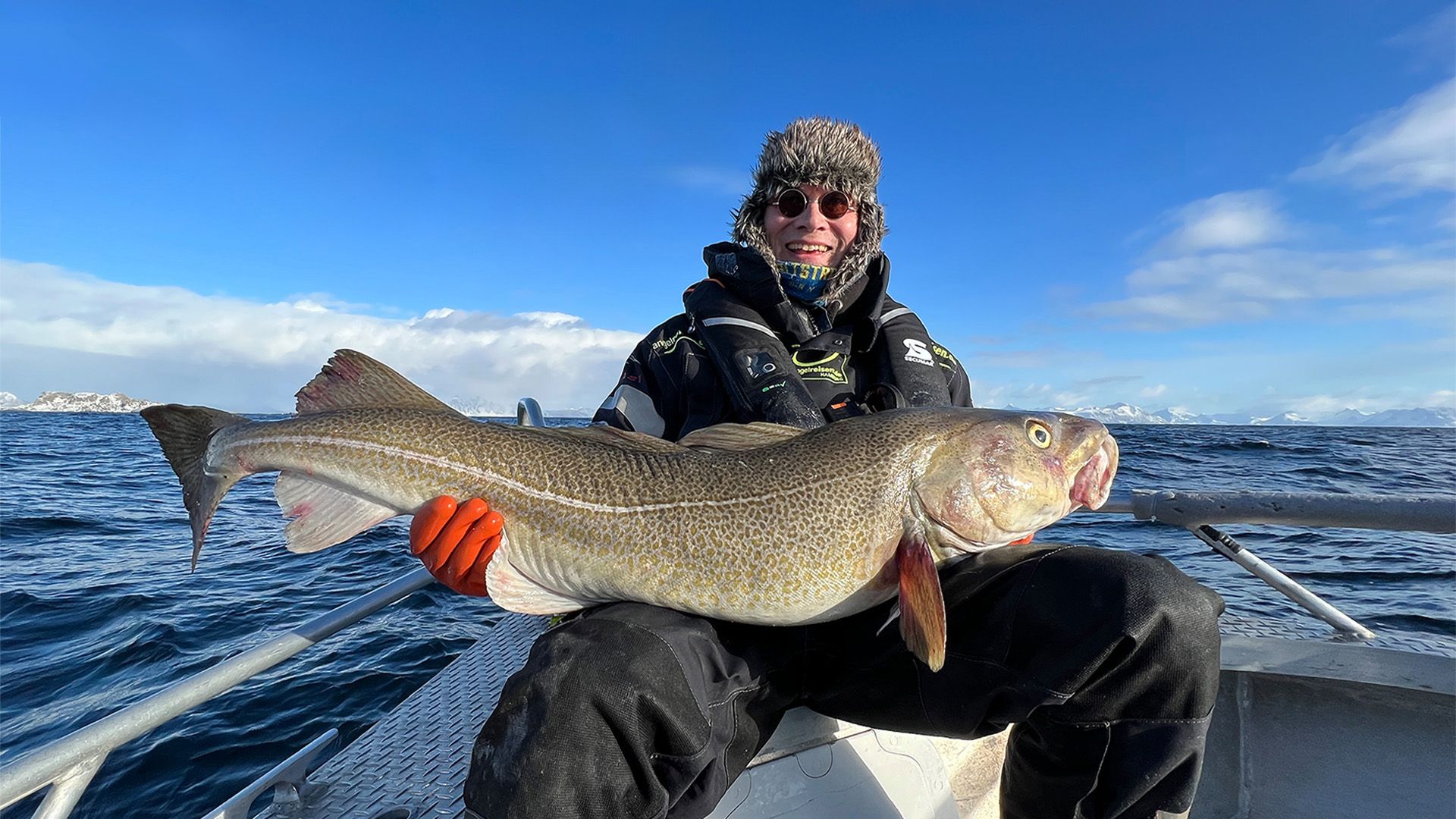 Skrei - Wenn die Winterdorsche kommen