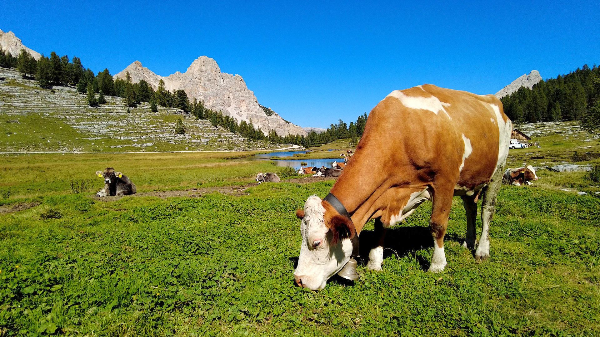 Panoramafahrt um den Kronplatz
