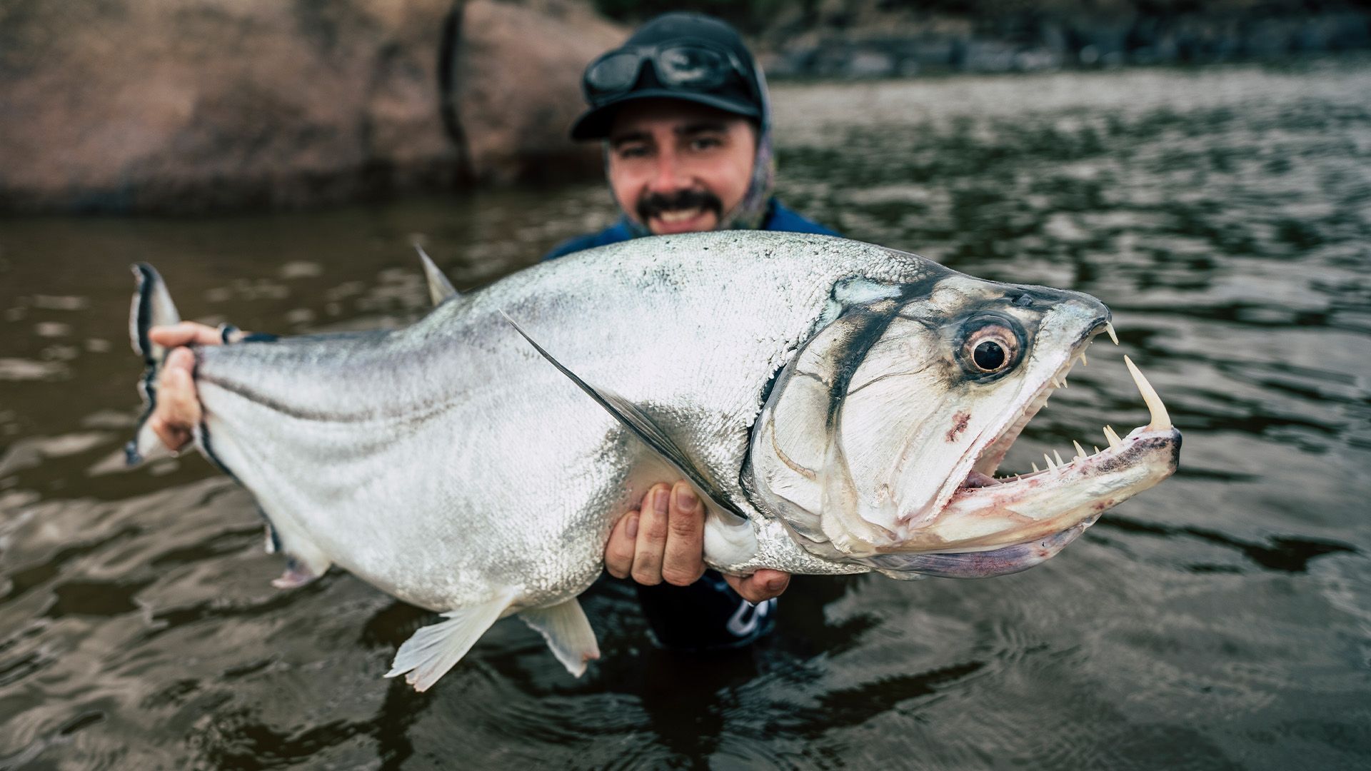 Payara vs. Peacock 2023