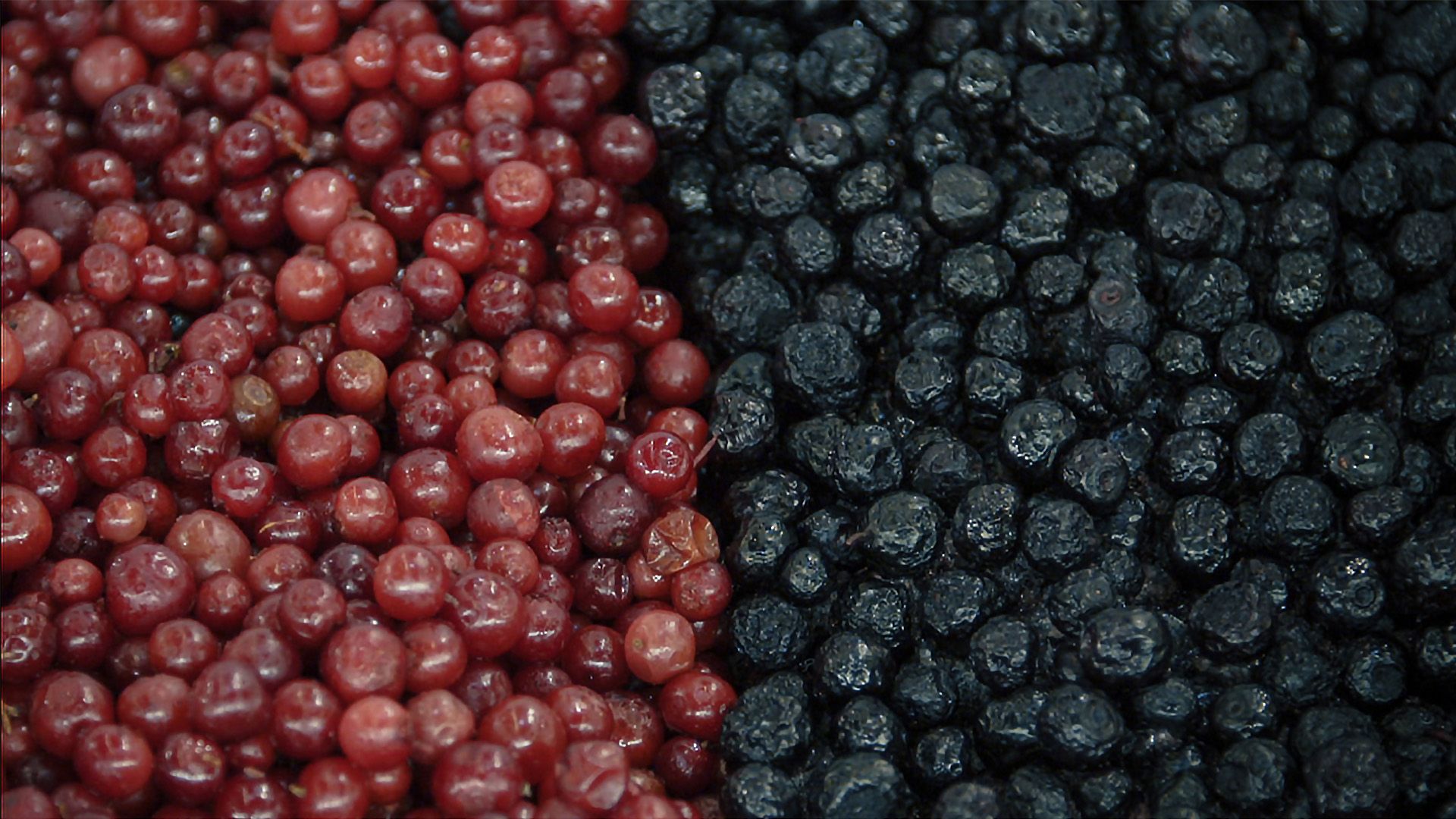 Superfoods: Magie oder Marketing?