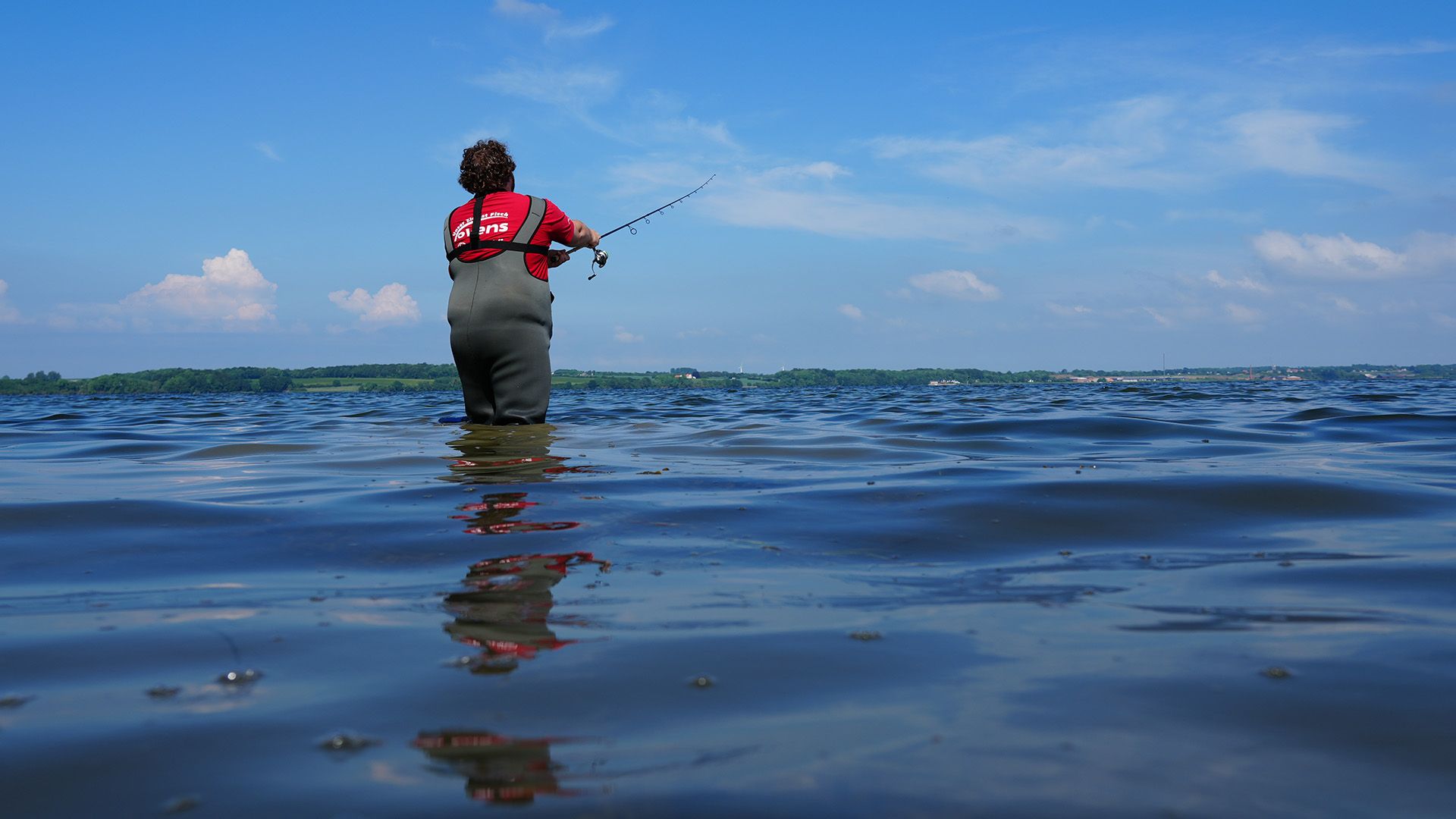 Wo sind die Hornhechte?