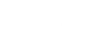 Sommerangeln vom Steg auf Barsch und Hecht