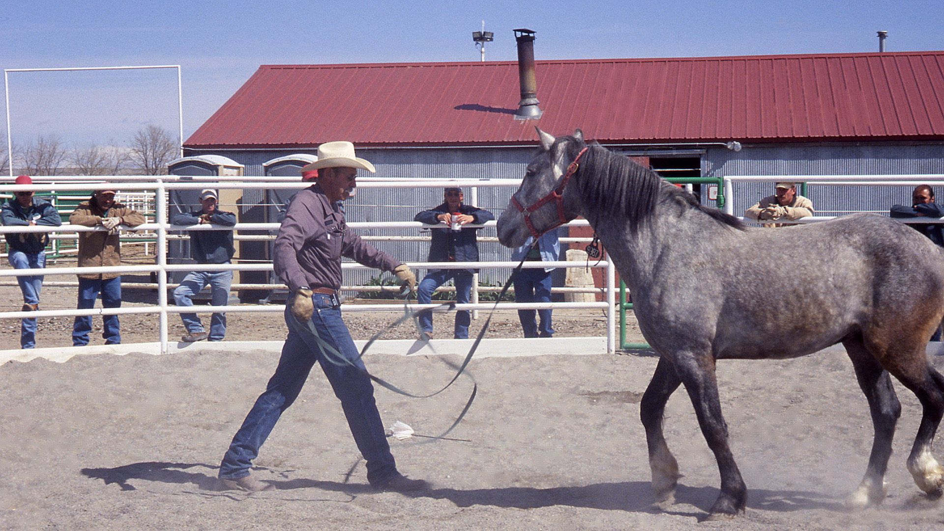 Von Männern und Mustangs