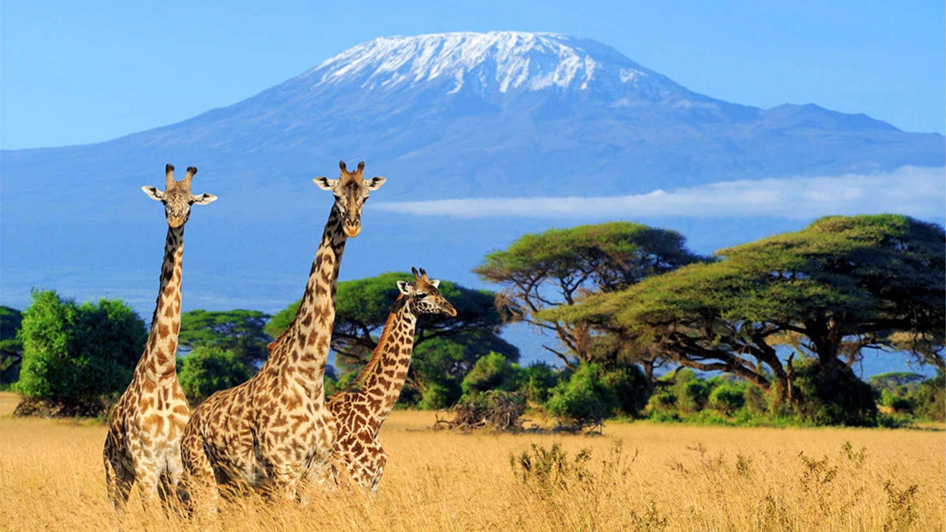 Bike Mike: Kenia, Uganda, Tansania mit Sansibar