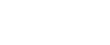 Seeforellen auf Sicht