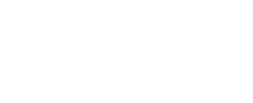 Spinnfischmomente