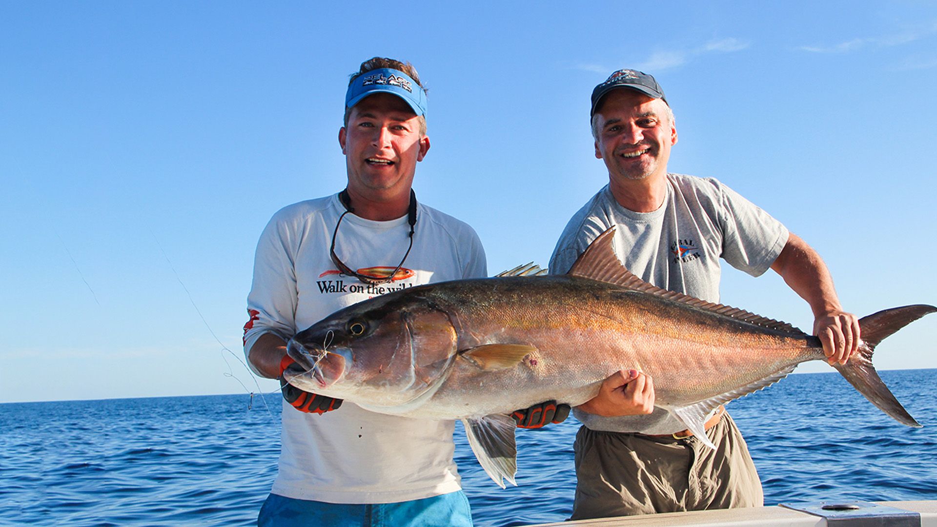 Amberjack-Party vor der Baleareninsel Ibiza