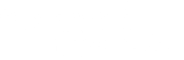 Die vierte Gewalt