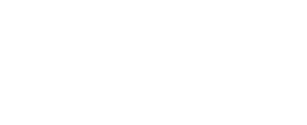 Der Kommissar