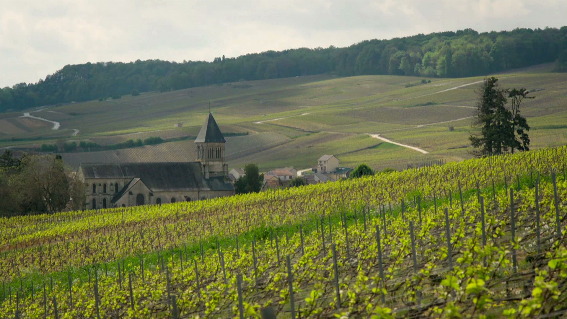 Von der Loire ins Elsass