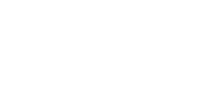 Die Rettungsflieger