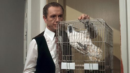 Percy Stuart Percy Stuart, Staffel 3 Folge 6: Geheimnisträger