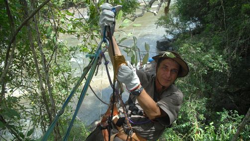 Tief im Regenwald Tief im Regenwald Folge 2: Auf der Spur der Harpyie