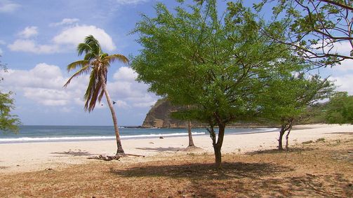Naturschützer im Einsatz Naturschützer im Einsatz, Staffel 2 Folge 3: Nicaragua