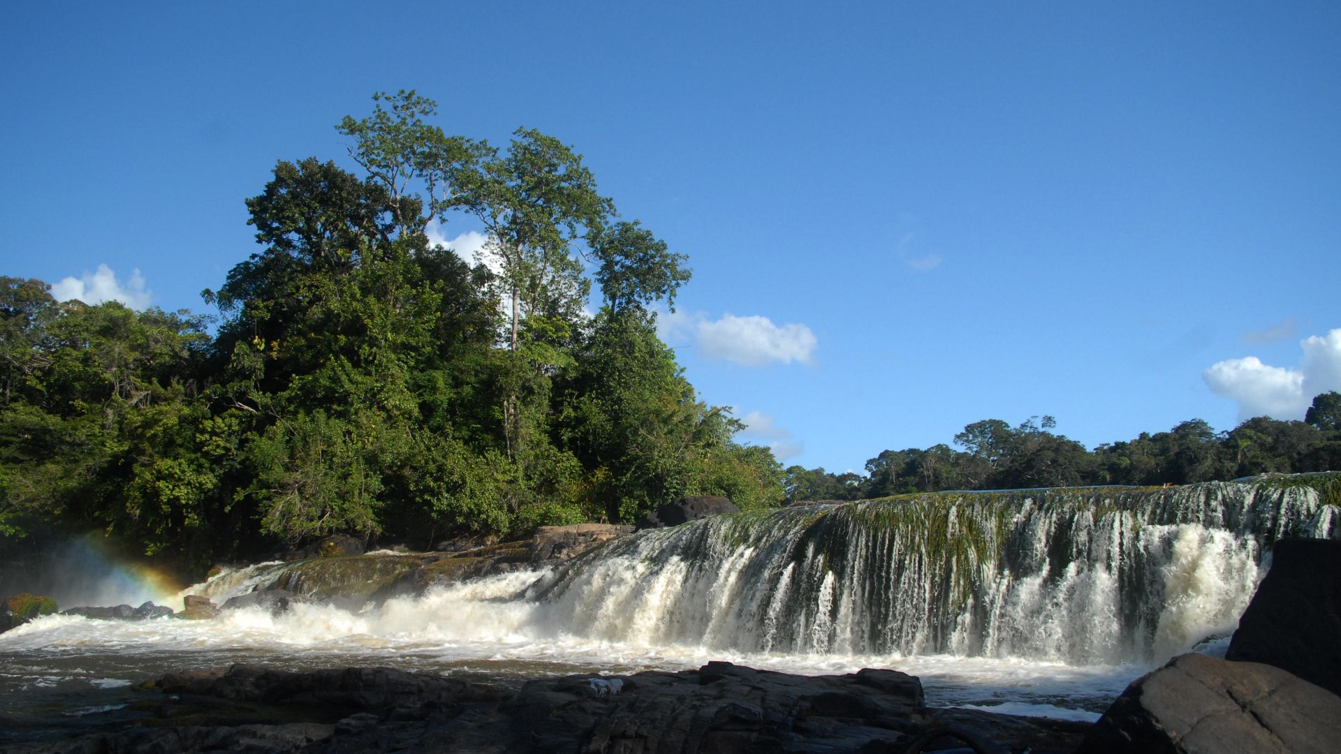 Tief im Regenwald