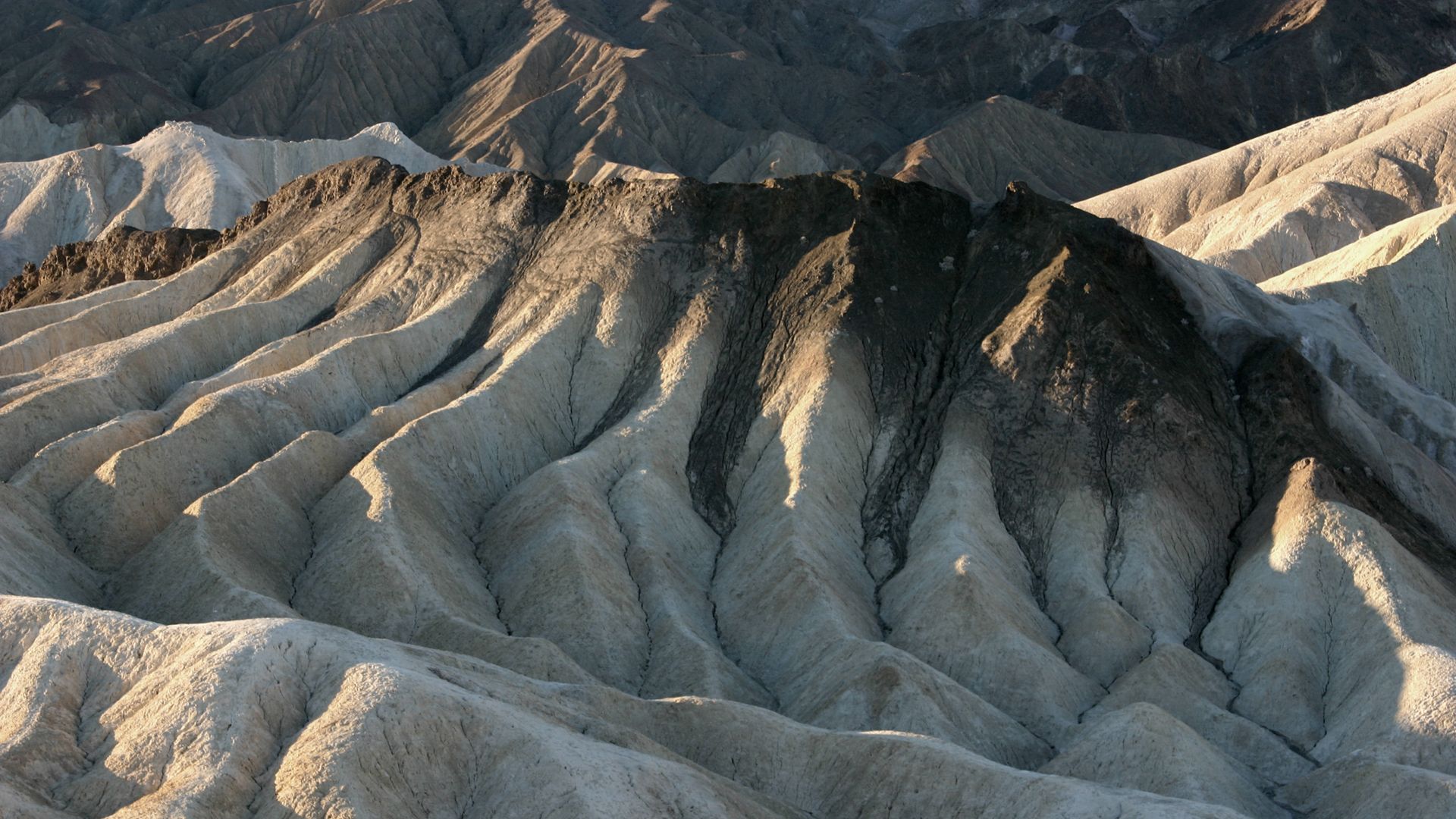 Die graue Mojave