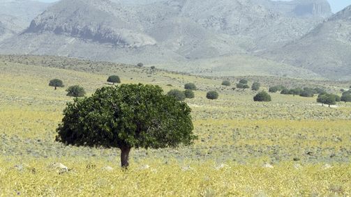 Wilder Iran Wilder Iran Folge 2: In den grünen Norden