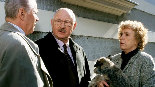 Der Alte Der Alte, Staffel 12 Folge 4: Plötzlich kam der Tod