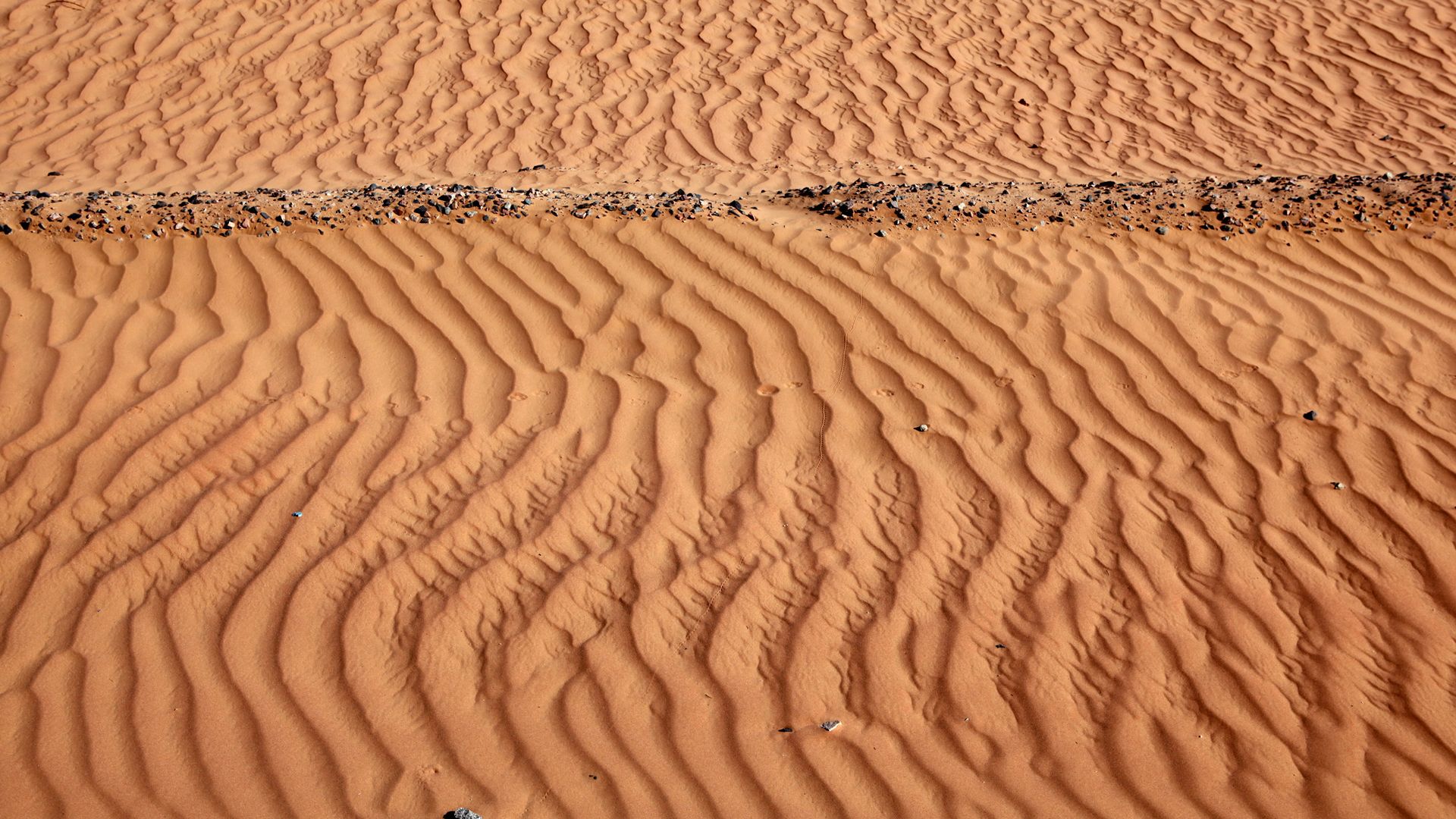 Die rosa Wadi Rum
