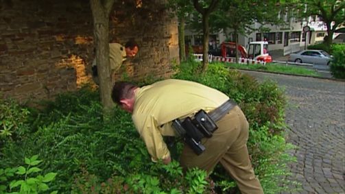 Toto - Harry - Die Zwei vom Polizeirevier Staffel 3 Folge 16: Die tote Ente