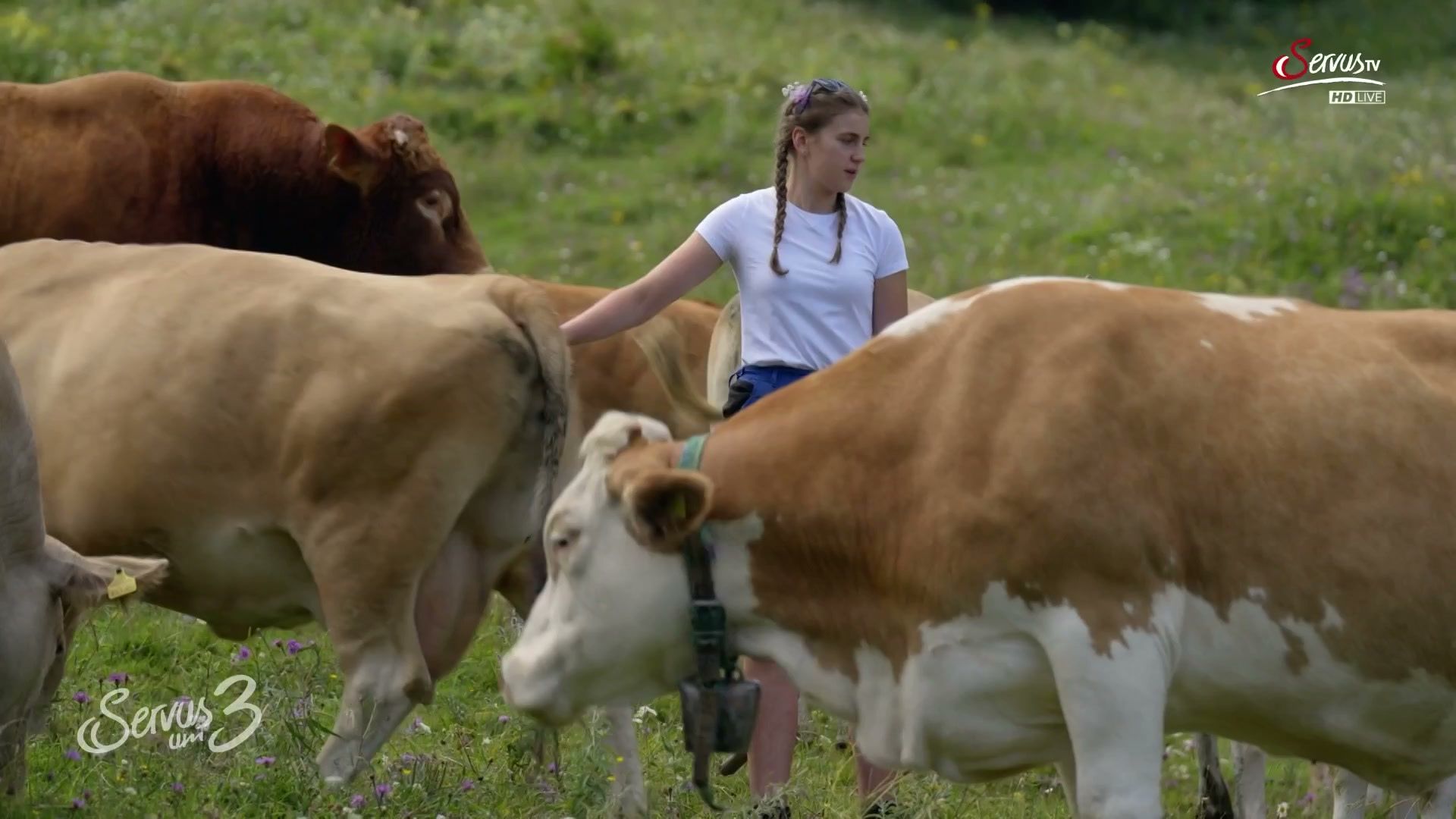 23. April - Servus um 3