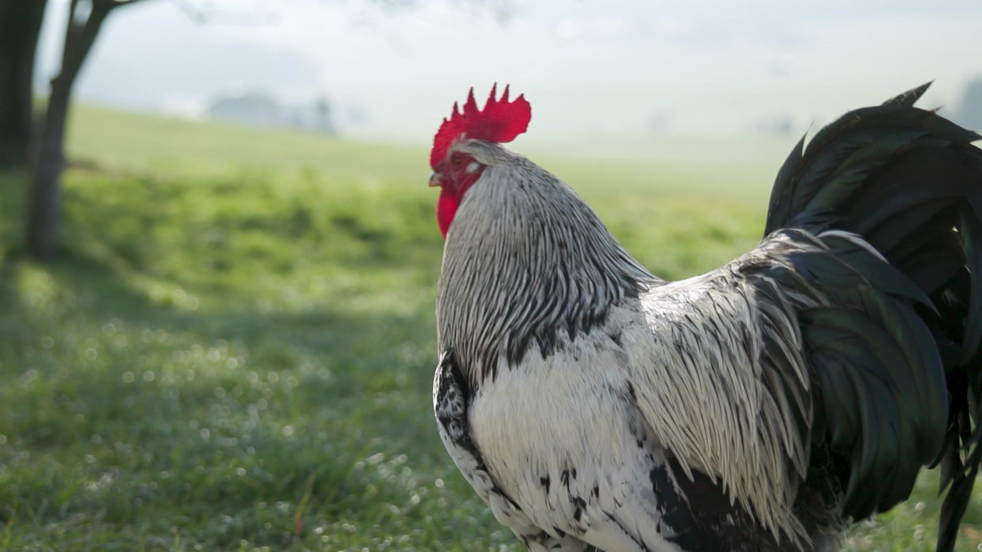 03. April - Servus Wetter